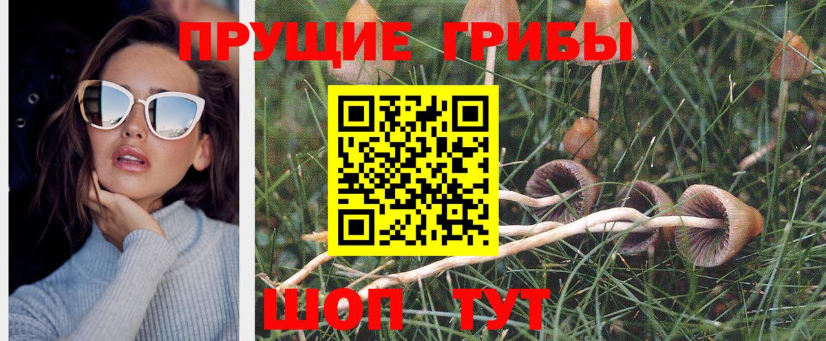 Псилоцибиновые грибы ЛСД  Псилоцибиновые грибы мицелий  Коммунар  Вход с VPN 