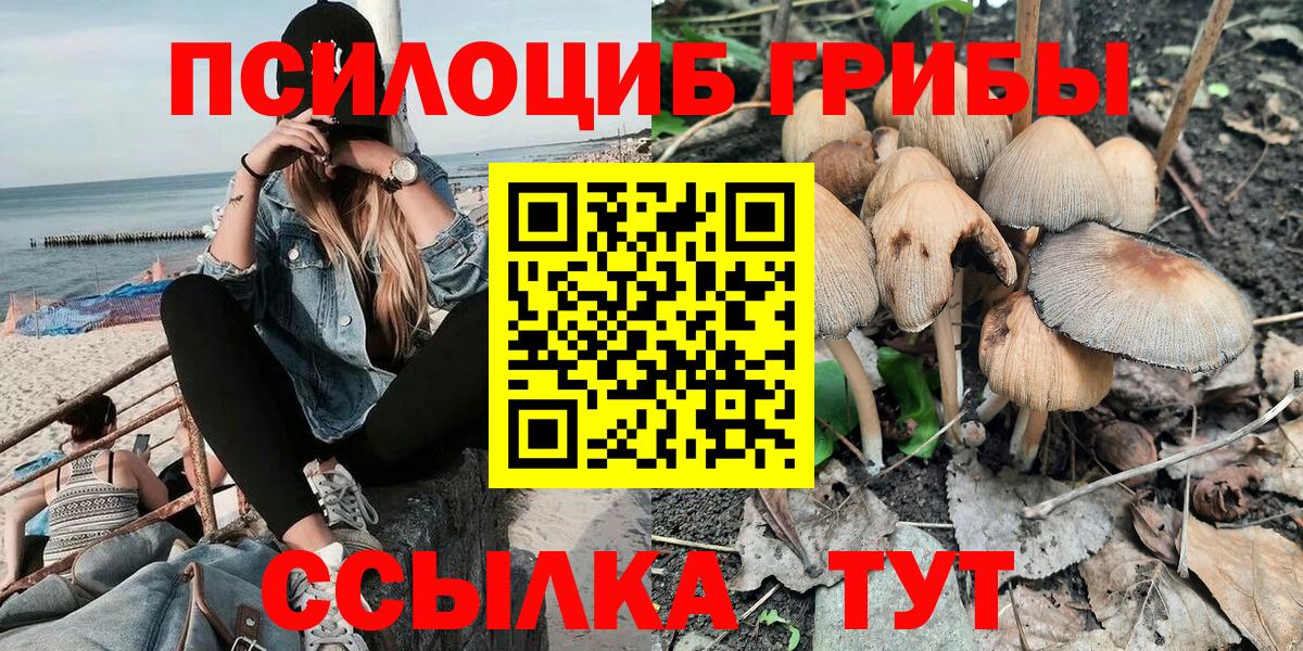 Галлюциногенные грибы Magic Shrooms Коммунар